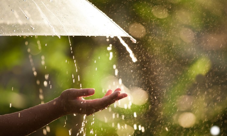 خواص نوشیدن آب باران برای سلامتی و بیماریها